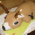 Dort srnec